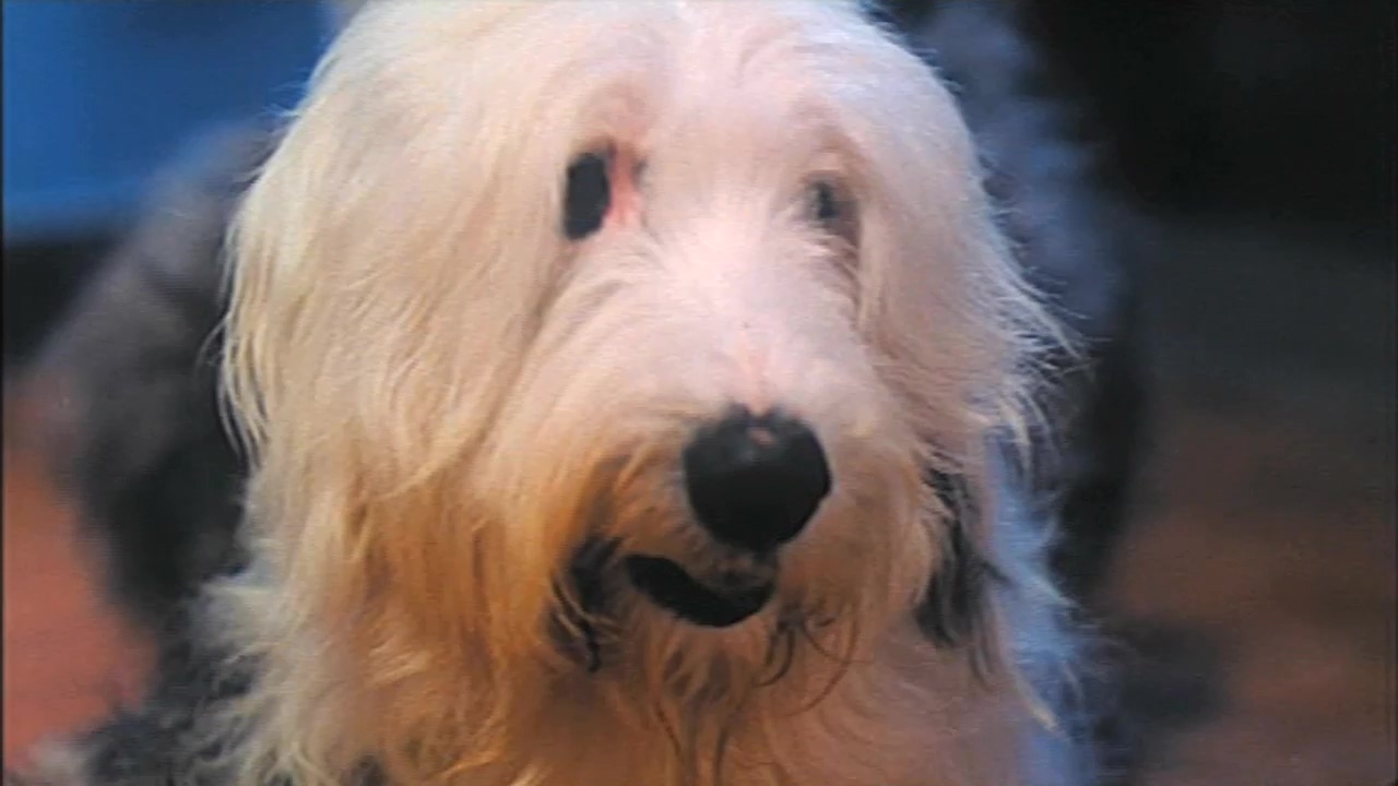 开心鬼开心鬼上错身.1991.CN.mkv_20250712_165256.757.jpg