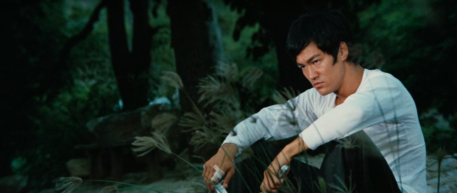 唐山大兄.The.Big.Boss.1971.CRITERION.CHINESE.1080p.BluRay.x265-VXT.mkv_20250722_.jpg