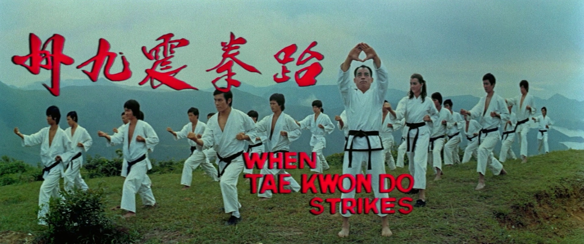 1973.跆拳震九州(96分钟).1080P.国语对应中字.mkv_20250723_001637.432.jpg