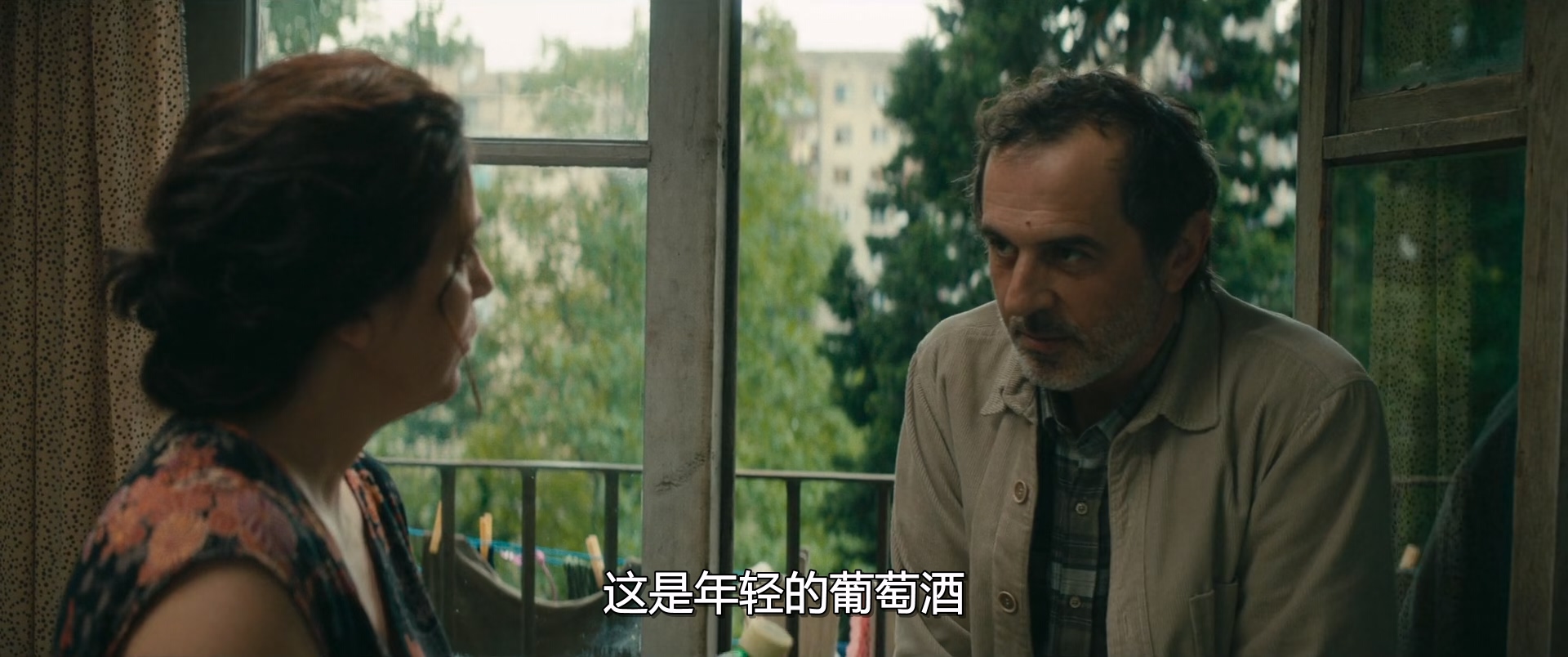 我的幸福家庭.My.Happy.Family.2017.DUBBED.1080p.WEBRip.x265.384kbps央视国格双语中.jpg