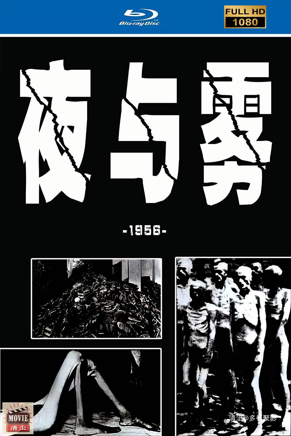夜版面图.jpg