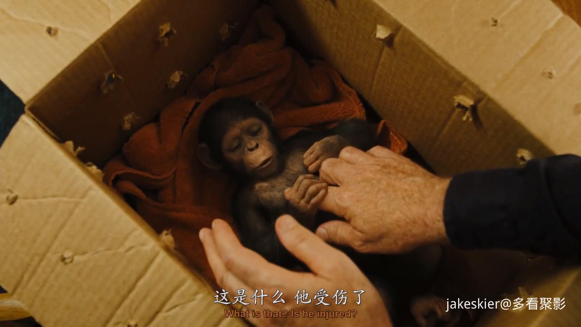 2011.猩球崛起(满屏版105分钟).1080P.上译英特效对应中字.mkv_20250815_232731.415.jpg