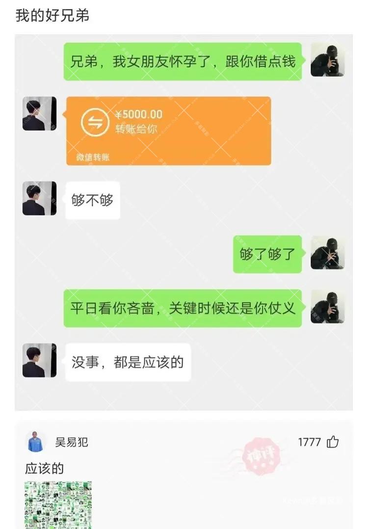 16.webp