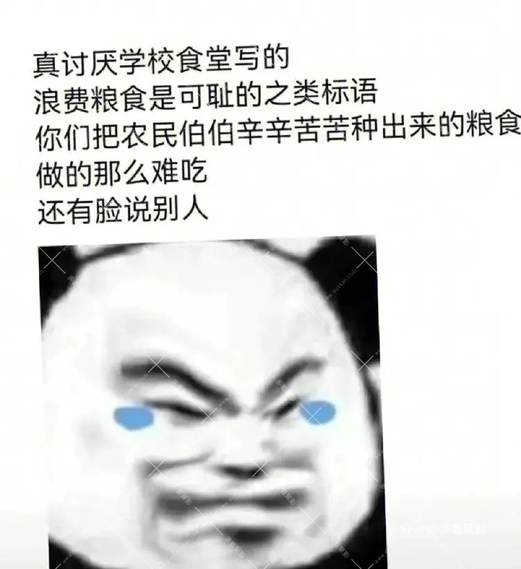 03.webp