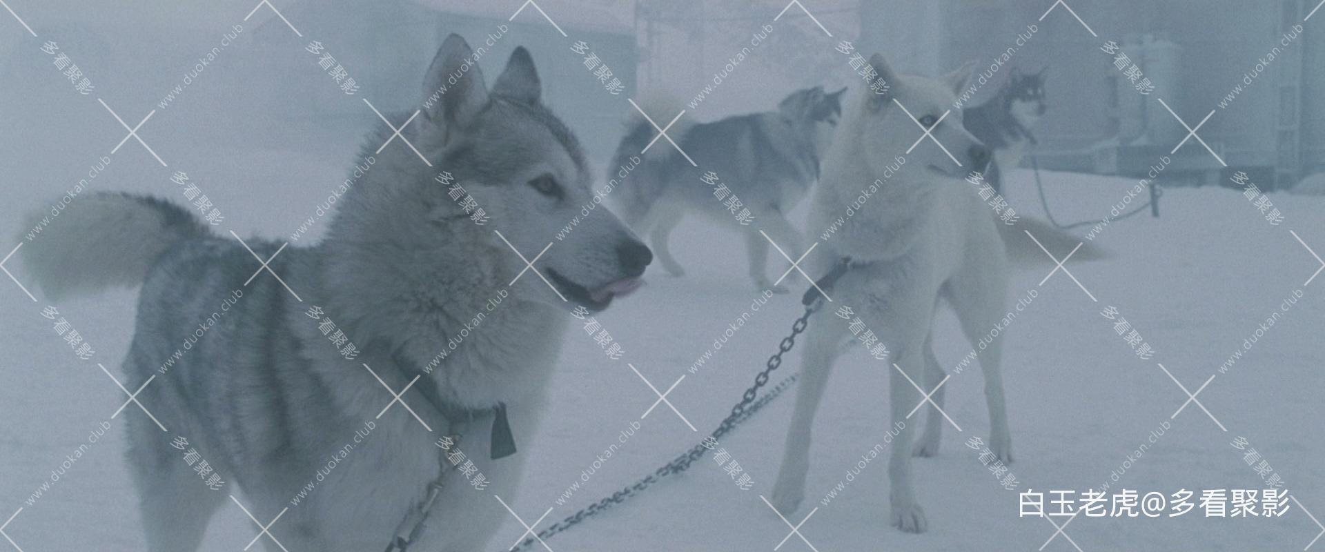 Eight.Below.2006.BluRay.1080p.2Audio.DTS-HD.MA5.1.x265.10bit-ALT.mkv_20250927_11.jpg