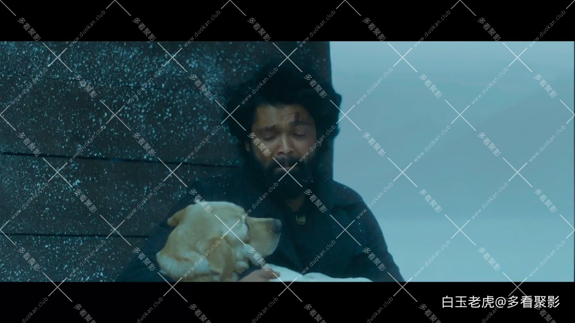 777.Charlie.2022.1080p.WEB-DL.H264.AAC-MOMOWEB.mkv8.jpg