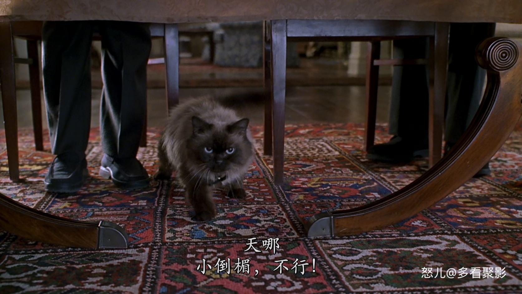 拜见岳父大人Meet.the.Parents.2000.1080p.x265.10bit.2audio-Tigole.mkv_20251002_11.jpg