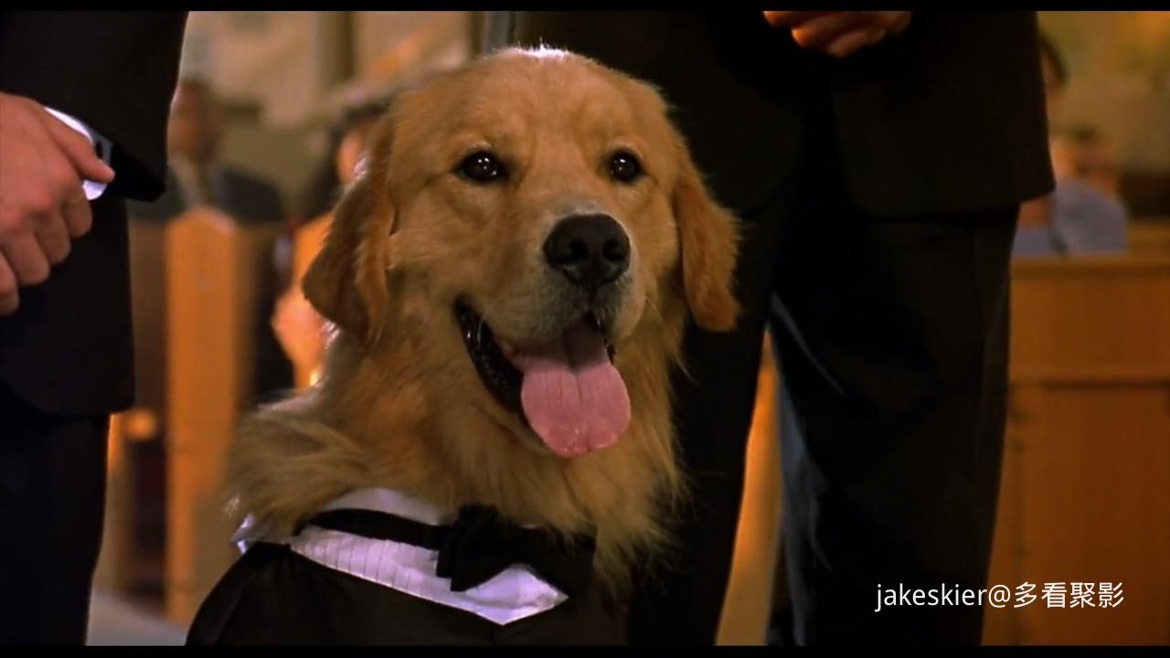 2001.飞狗巴迪3：飞狗家族(83分钟).720P.国英无字.mkv_20250926_232455.013.jpg