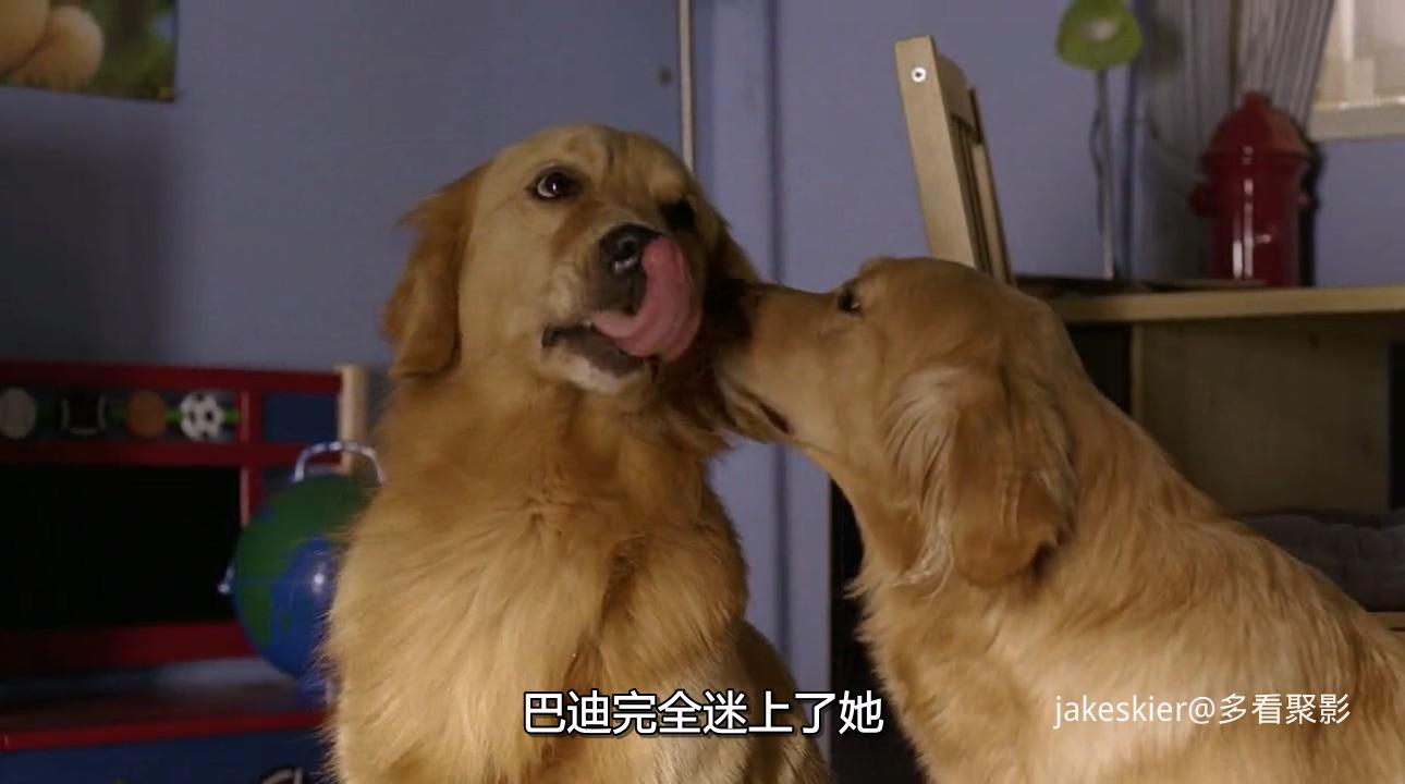 2006.飞狗巴迪6：神犬小巴迪(80分钟).720P.国英中字.mkv_20250926_234711.444.jpg