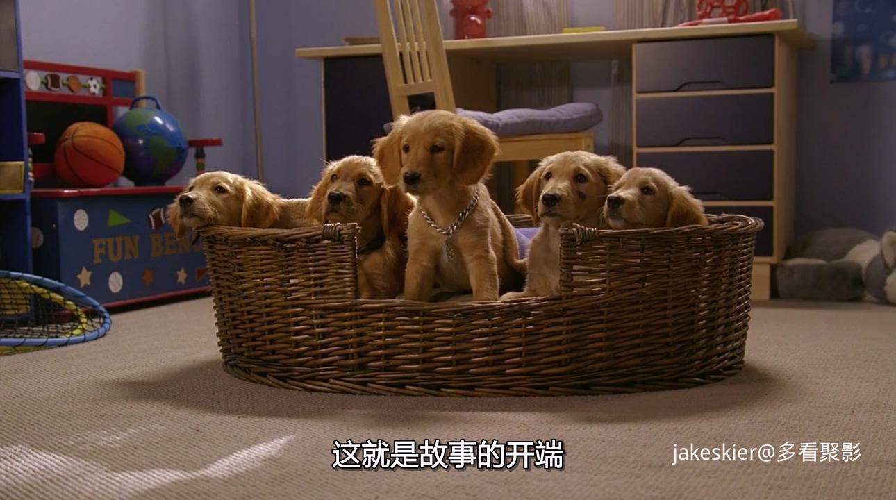 2006.飞狗巴迪6：神犬小巴迪(80分钟).720P.国英中字.mkv_20250926_234814.062.jpg