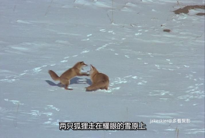 1978.狐狸的故事(117分钟).480P.上译日中字.mkv_20250928_132054.428.jpg