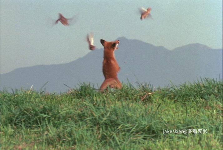 1978.狐狸的故事(117分钟).480P.上译日中字.mkv_20250928_132352.070.jpg