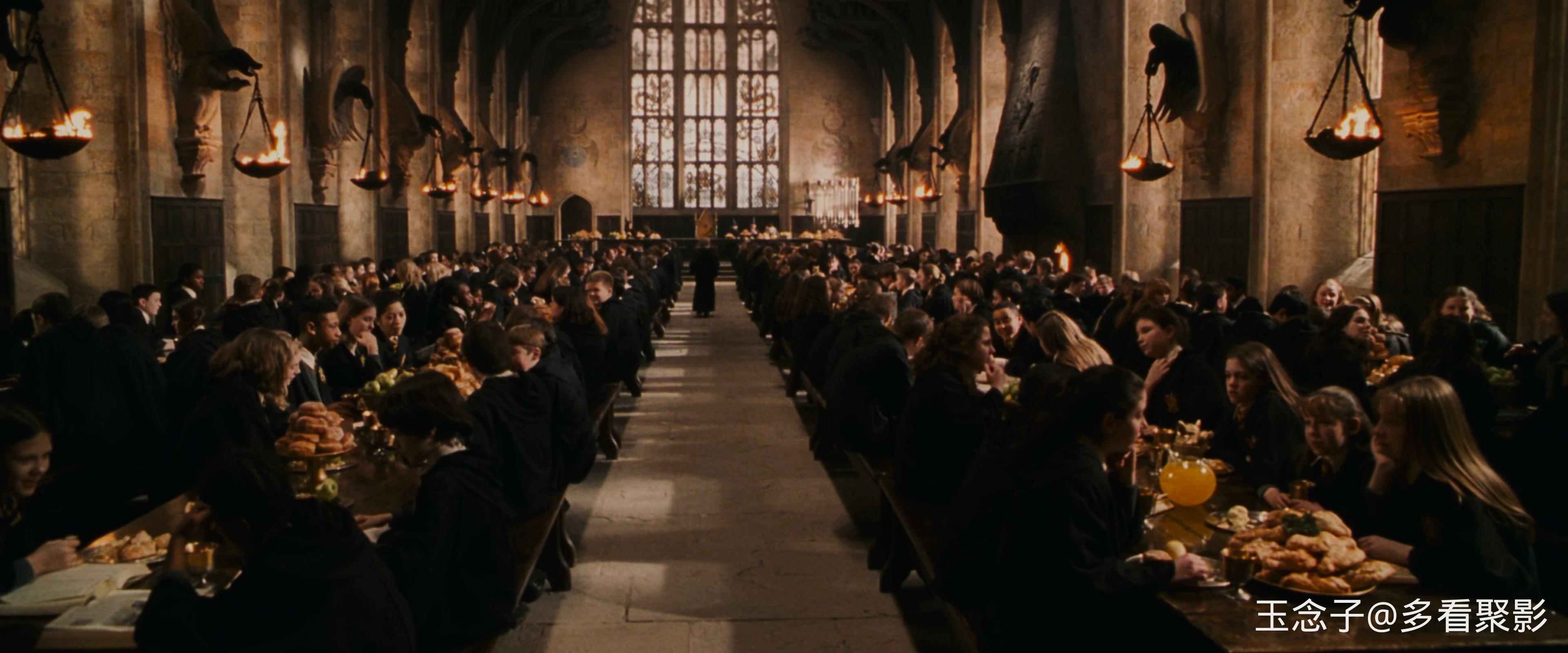 2.Harry.Potter.and.the.Chamber.of.Secrets.2002.UHD.BluRay.2160p.10bit.DoVi.4Audi.jpg