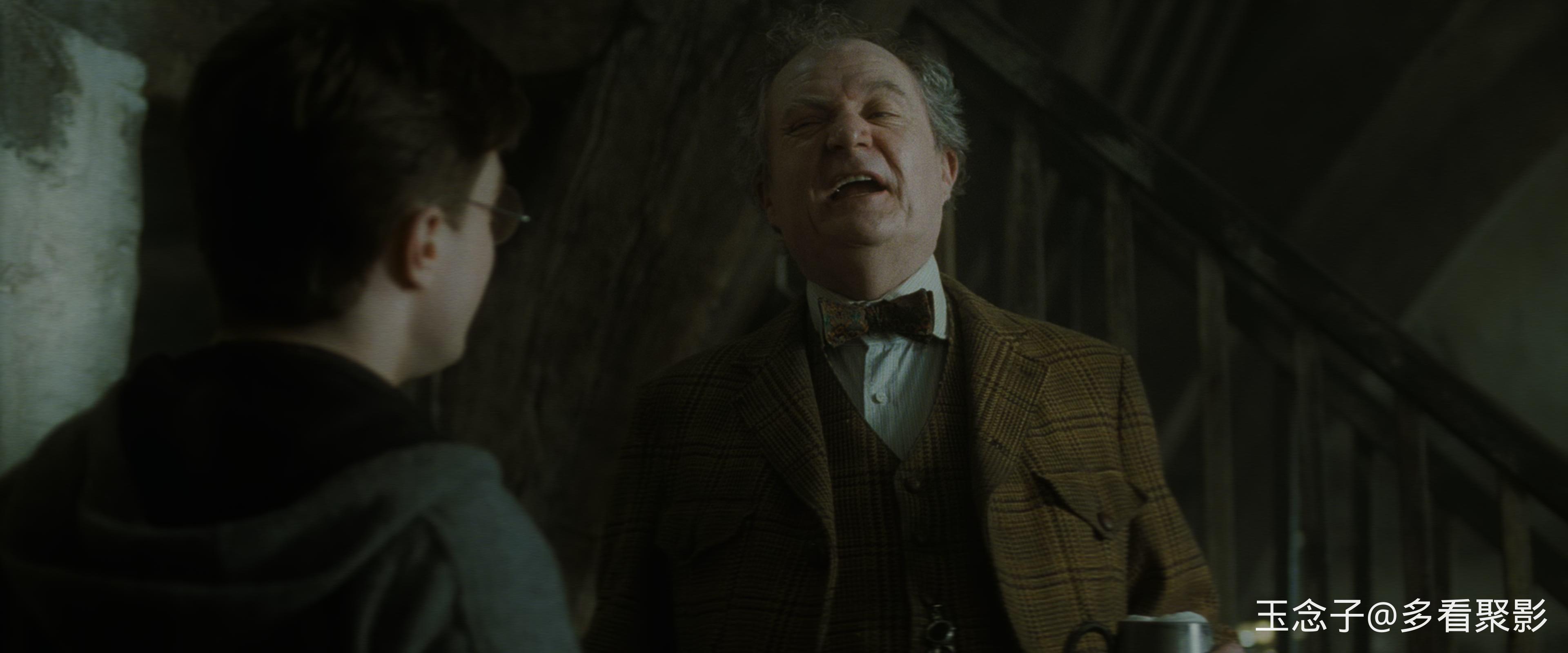 6.Harry.Potter.and.the.Half-Blood.Prince.2009.UHD.BluRay.2160p.10bit.DoVi.4Audio.jpg