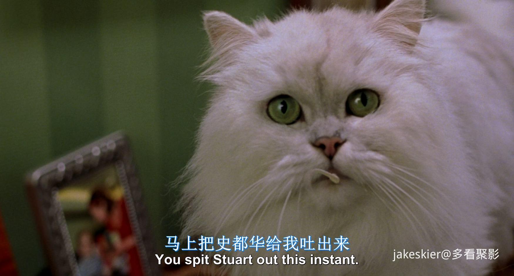 1999.精灵鼠小弟1(85分钟).1080P.上译六区台粤英中字.mkv_20251004_005709.168.jpg