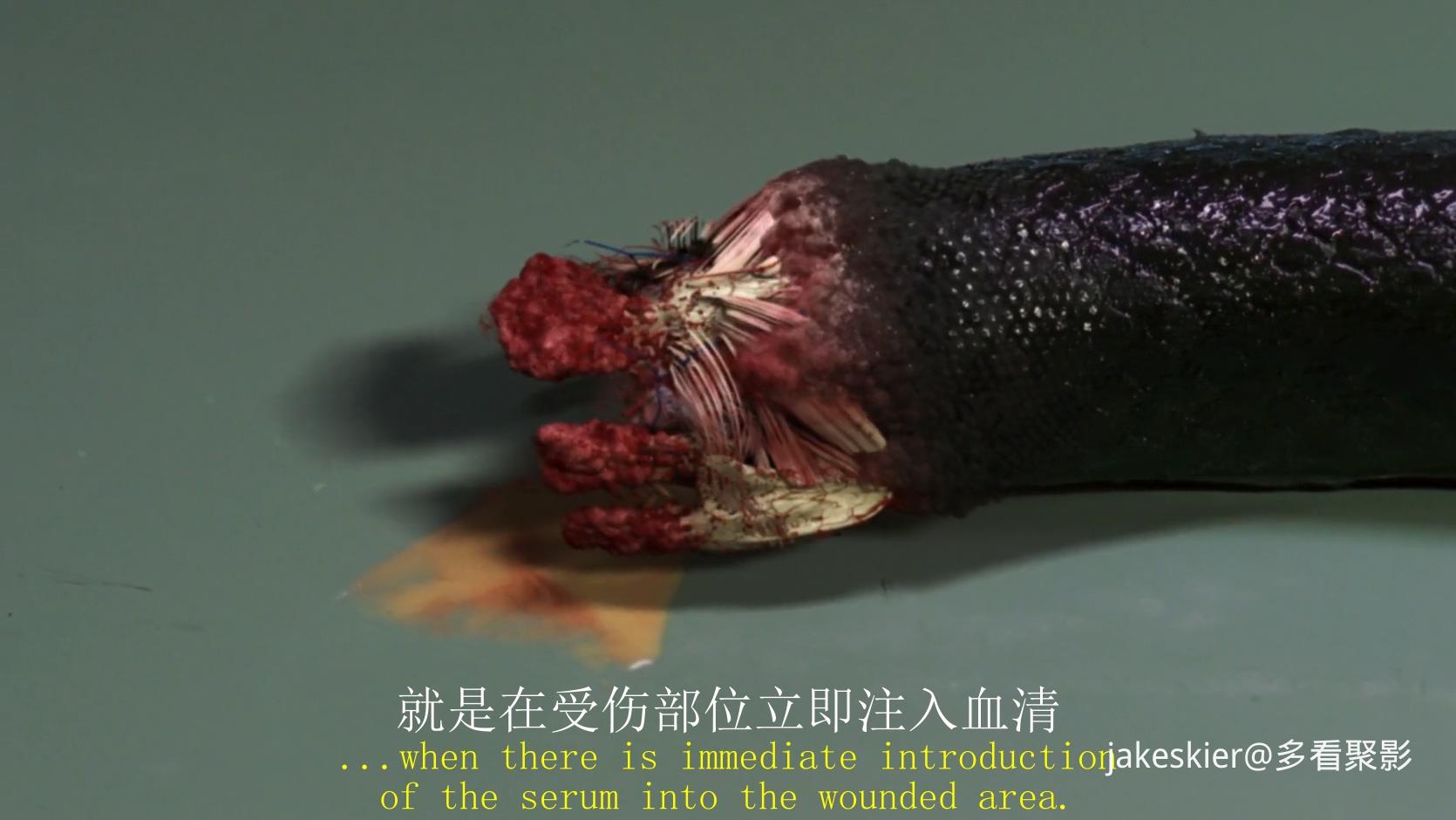 2009.狂蟒之灾4(满屏版89分钟).1080P.东影英中字.mkv_20250929_232215.460.jpg