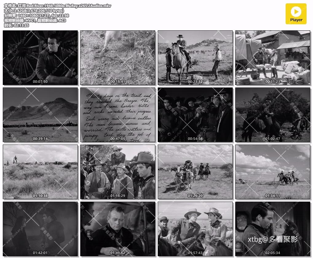 红河.Red.River.1948.1080p.BluRay.x265.2Audios.mkv.jpg