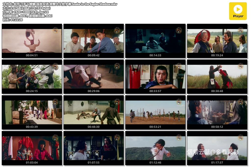 蛇形刁手斗螳螂.国英双语.简繁中文软字幕.Snake in the Eagles Shadow.mkv.jpg