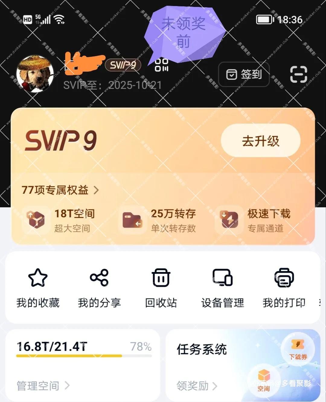 03.webp