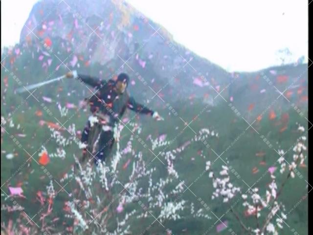 Disc.01_20251012_210305.078.jpg