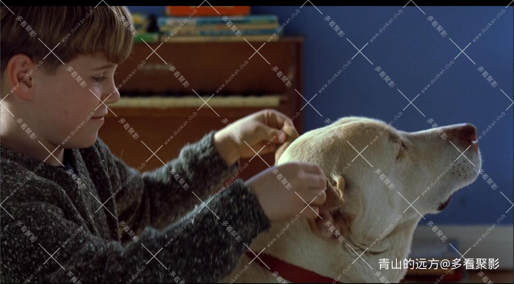 Snipaste_2025-10-04_09-04-55.png