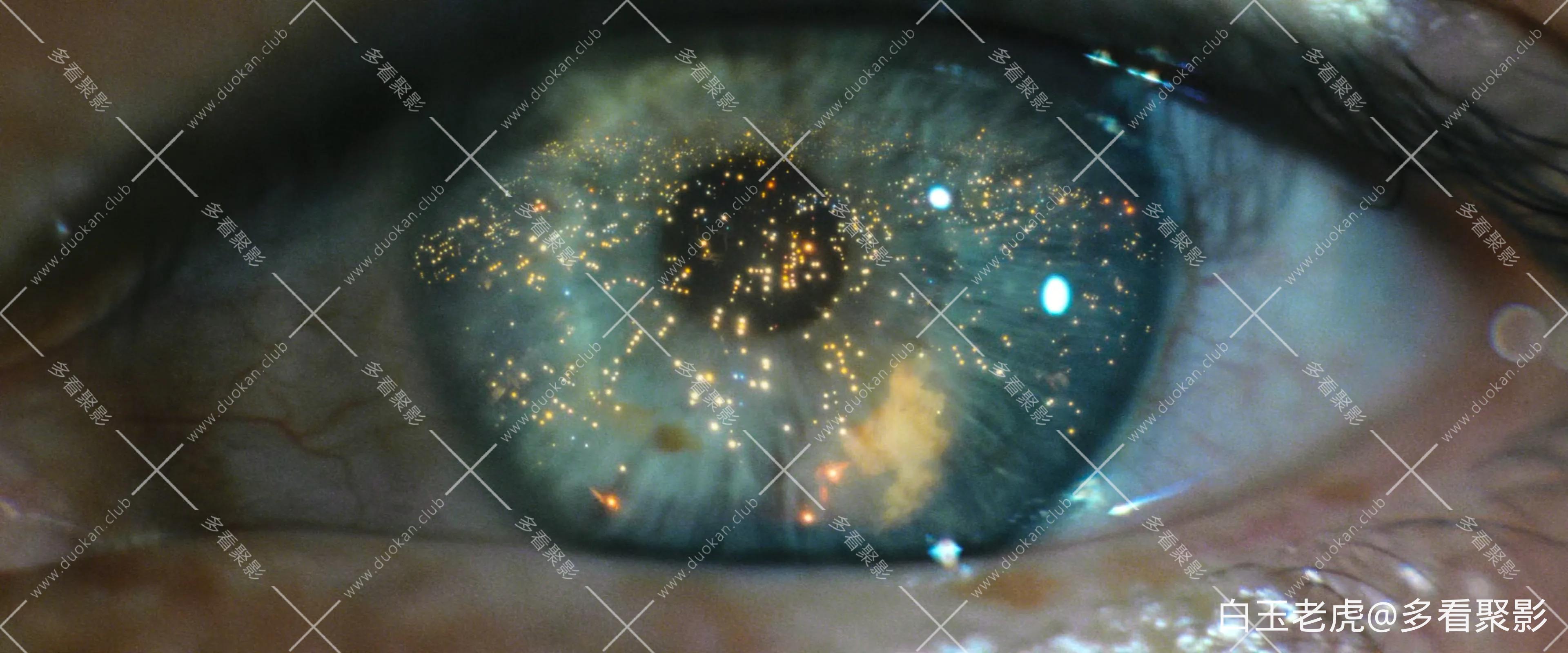 Blade.Runner.The.Final.Cut.1982.BluRay.2160p.10bit.HDR.DV.8CH.x265.HEVC.2Audio-P.webp