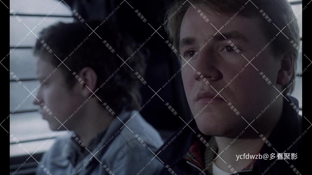 p2559419569.jpg p2559419569.jpg