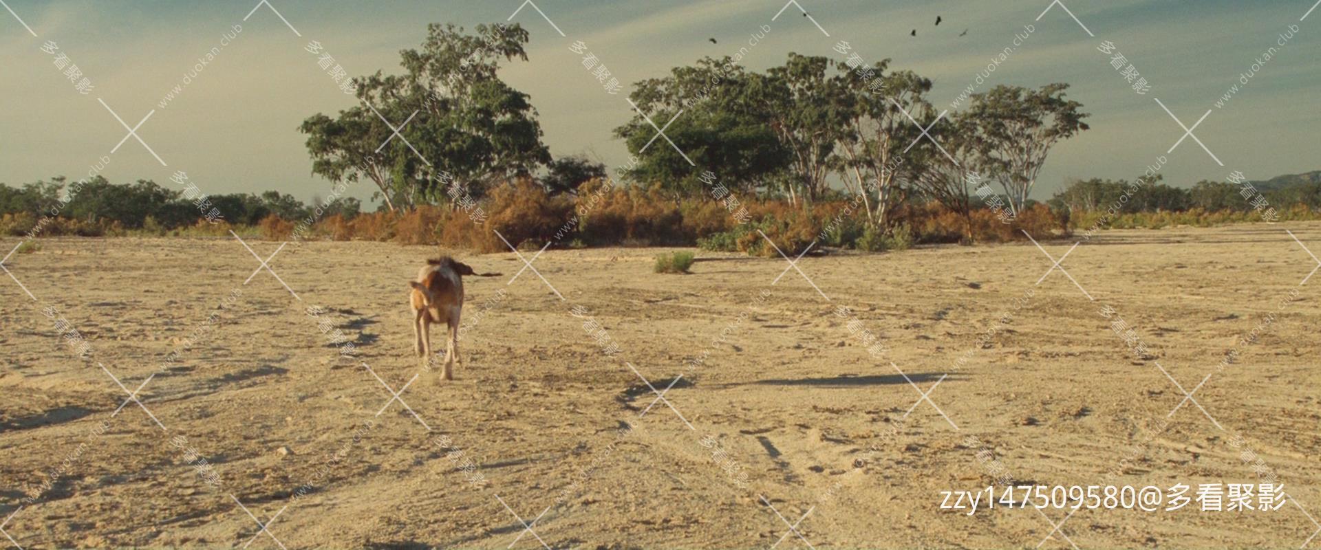 暴风截图202510314874812.jpg 暴风截图202510314874812.jpg