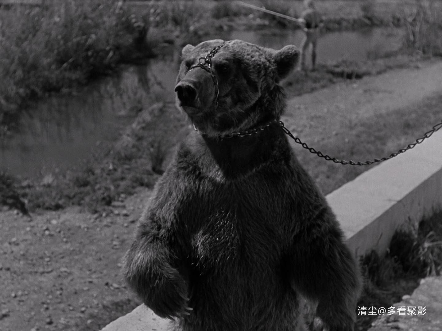 1942 夜间来客 The Devil&#039;s Envoys.mkv_20251127_105740.763.jpg