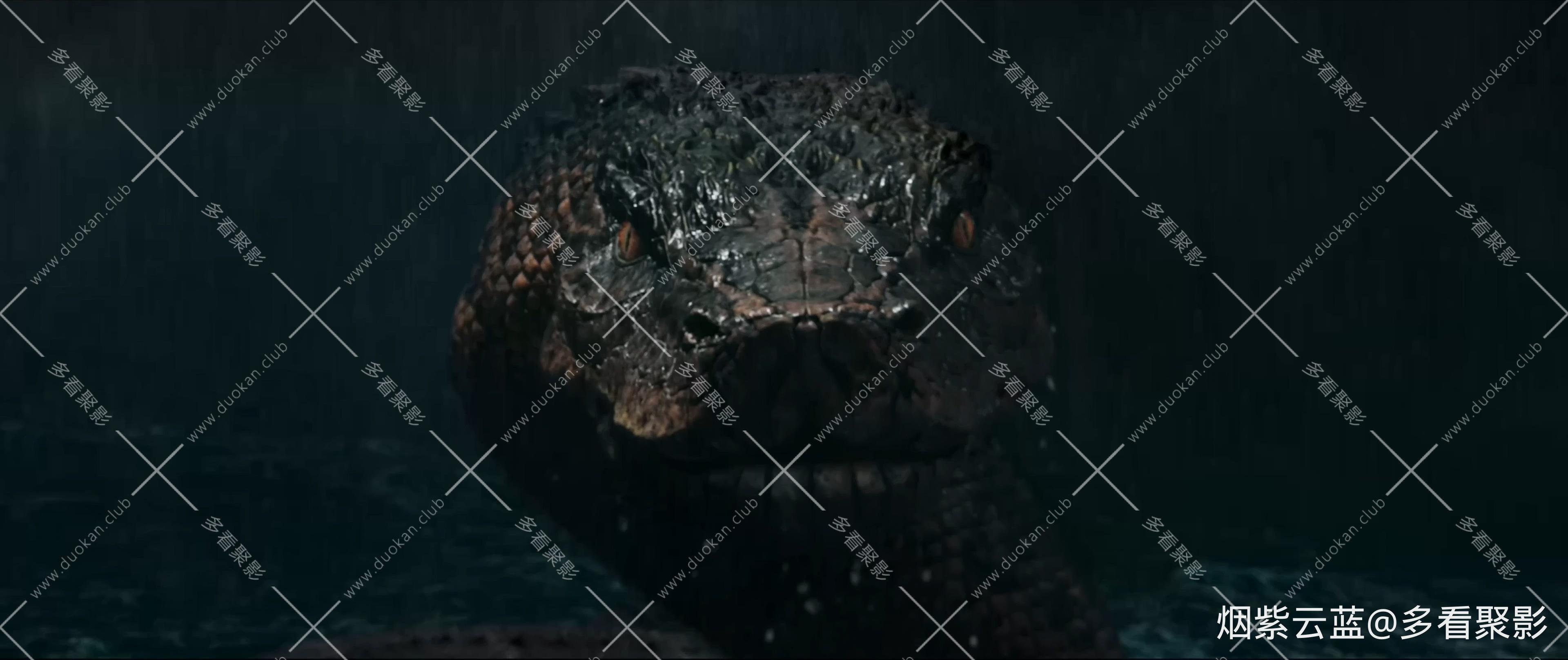 蛇王岛 2021.mp4_20251202_154229.816.jpg