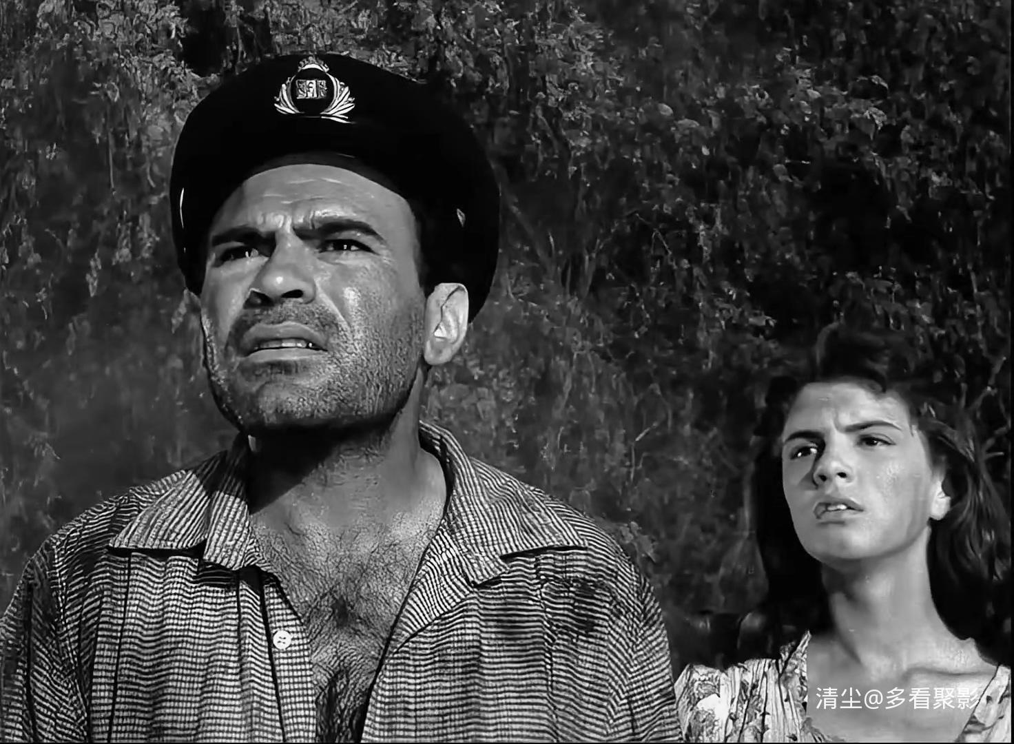 1960 多瑙河之波 The Danube Waves（罗马尼亚）.mp4_20251207_161252.556.jpg