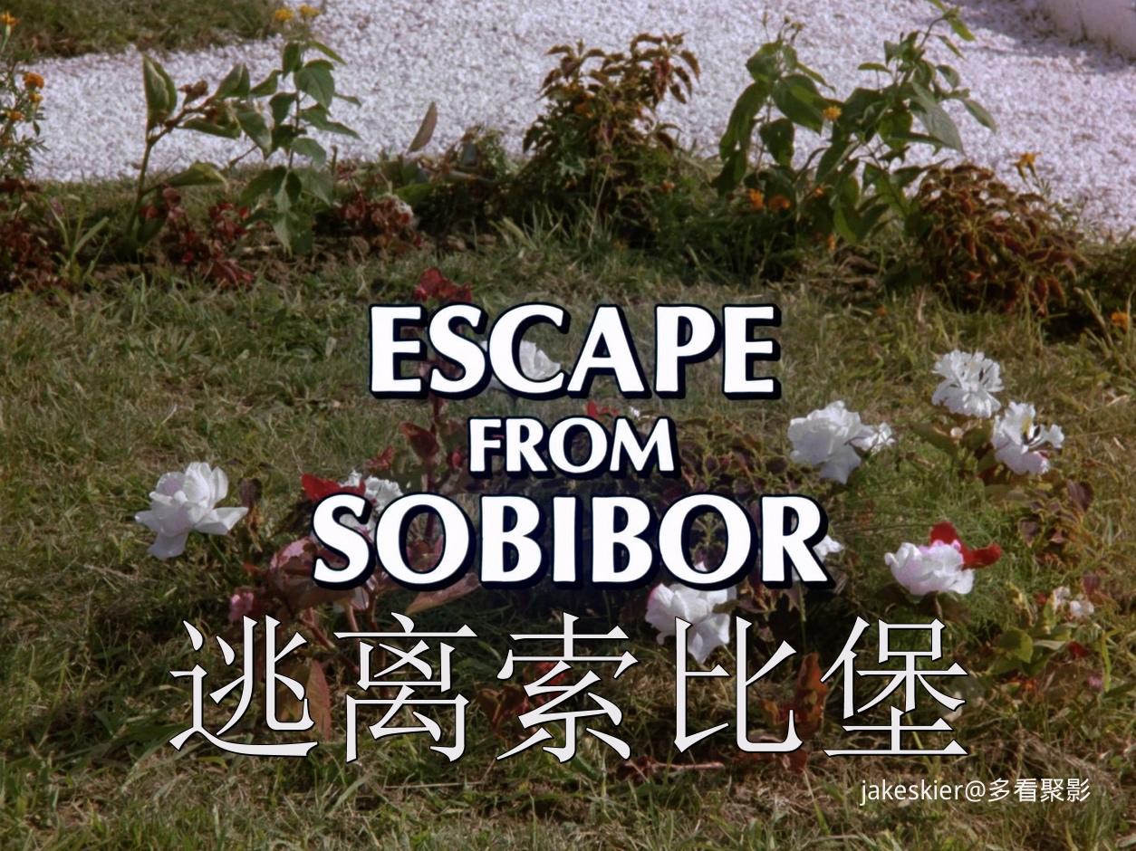 1987.逃离索比堡(149分钟).1080P.英语中字.mkv_20251124_235824.310.jpg