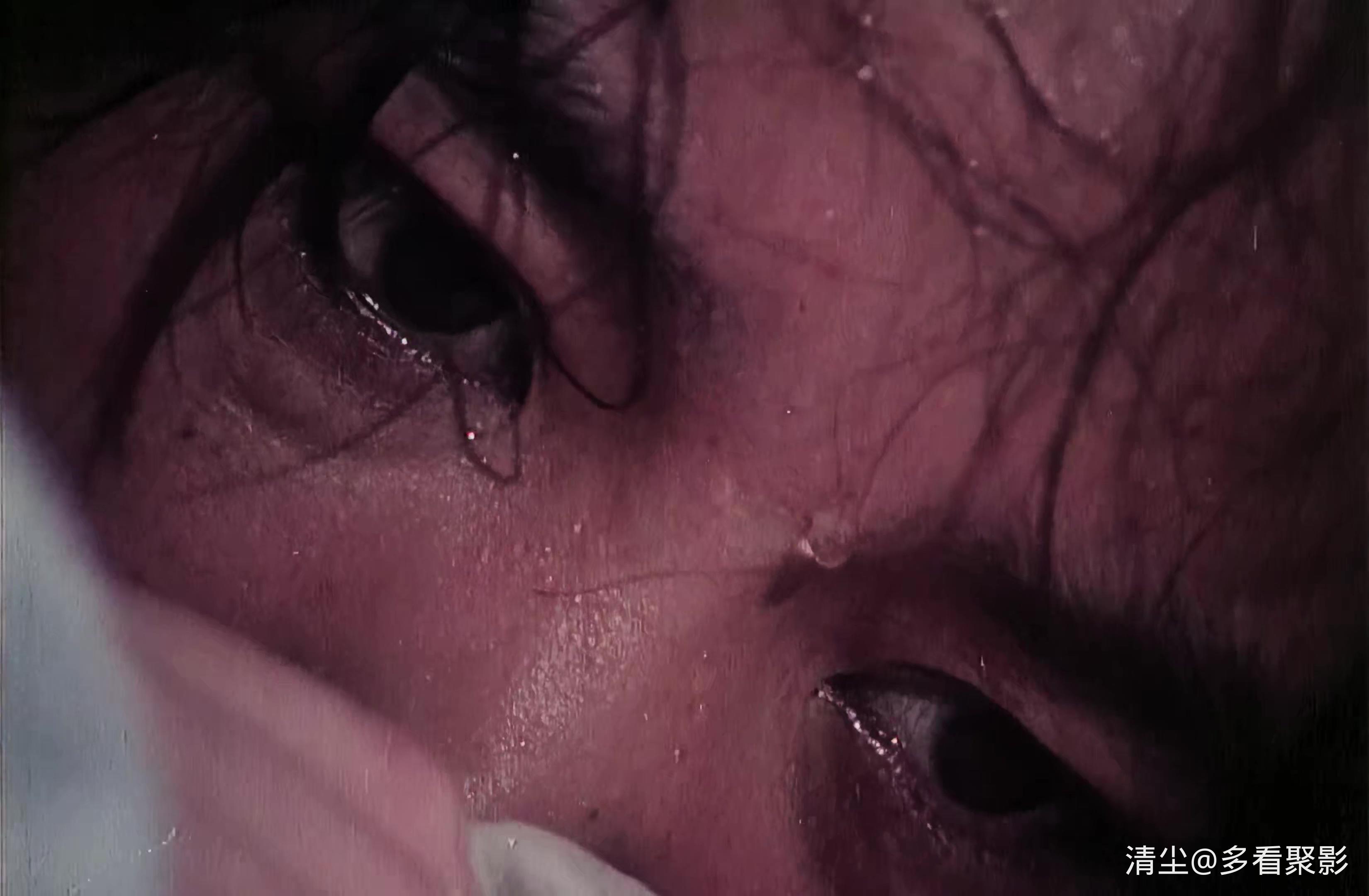 1981 沙鸥.mp4_20251216_145650.026.jpg