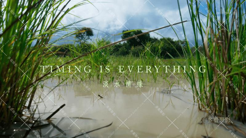 04 淡水情缘.mp4_115生活(曾用名“115网盘”)_数字生活平台_1766378932967 (1).png