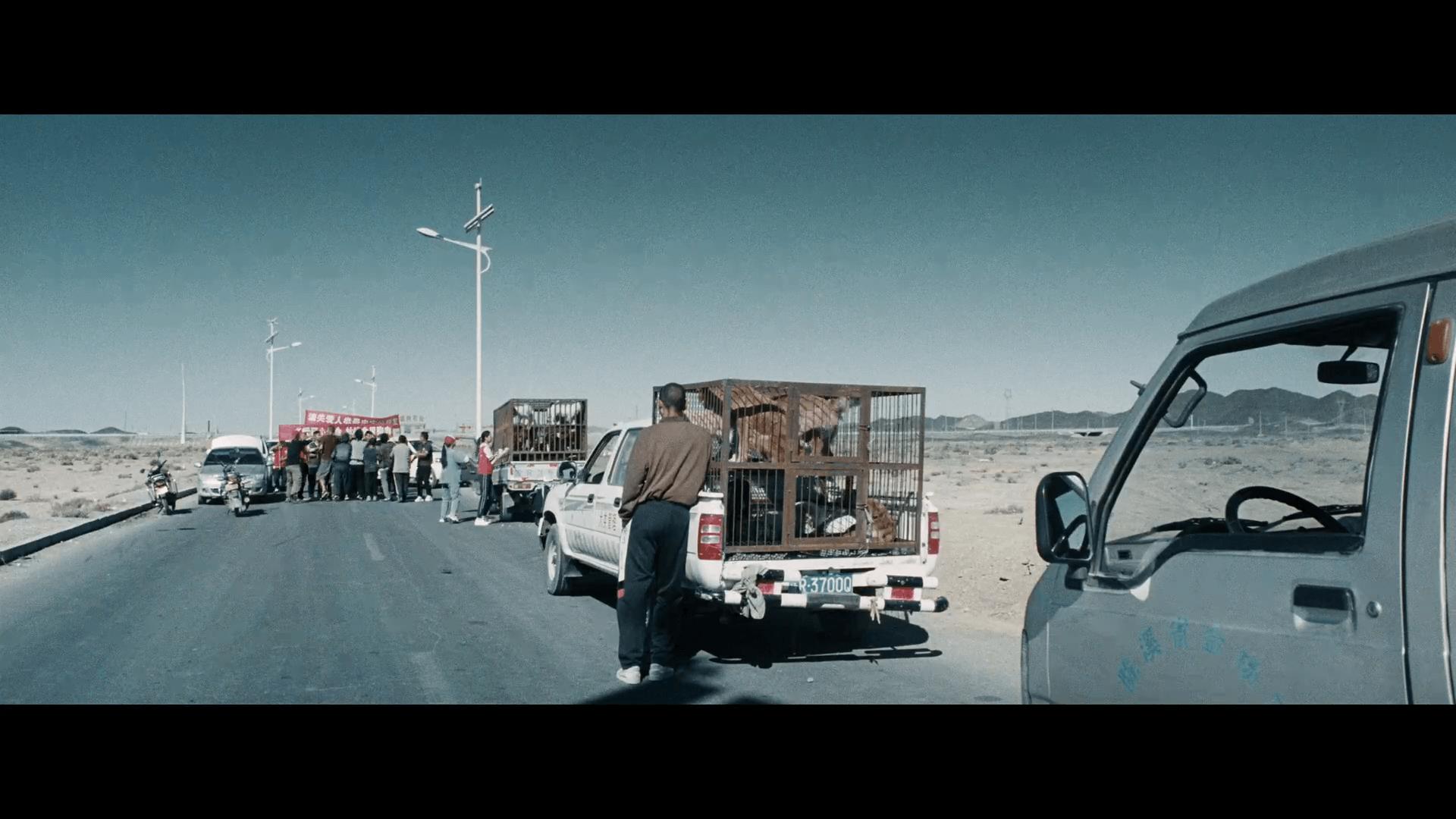 狗阵(2024)-法版原盘Remux-国语-内挂软字幕_34-20 (2).png