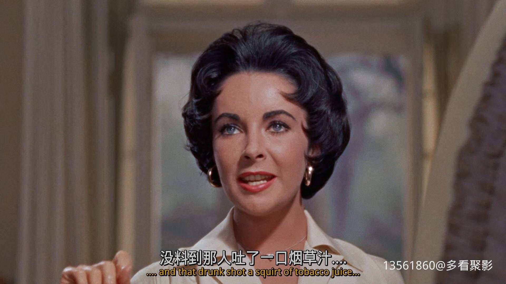 热铁皮屋顶上的猫Cat on a Hot-00_09_28-2025_12_26_09_30_16.jpg