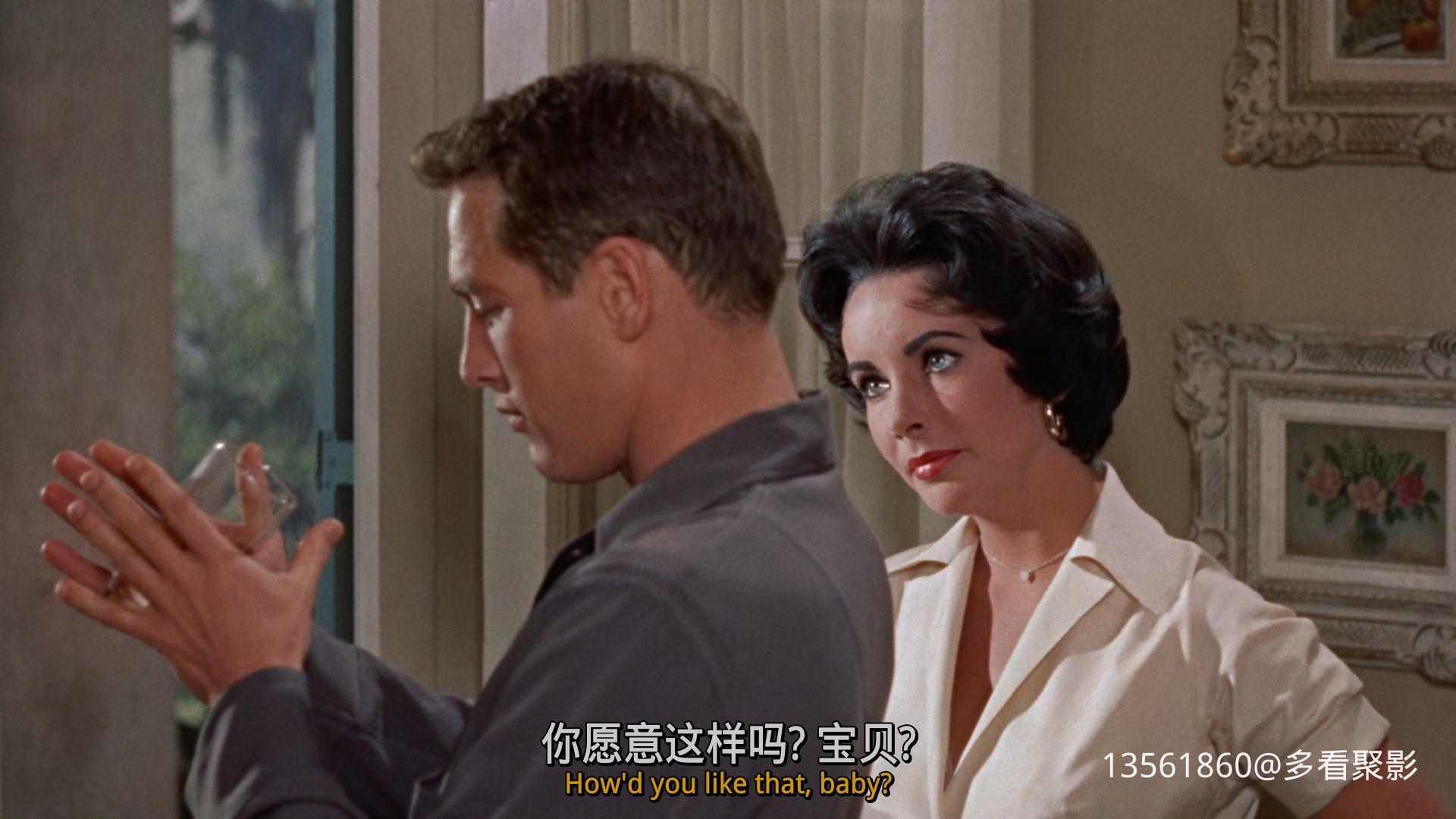 热铁皮屋顶上的猫Cat on a Hot-00_07_26-2025_12_26_09_39_37.jpg