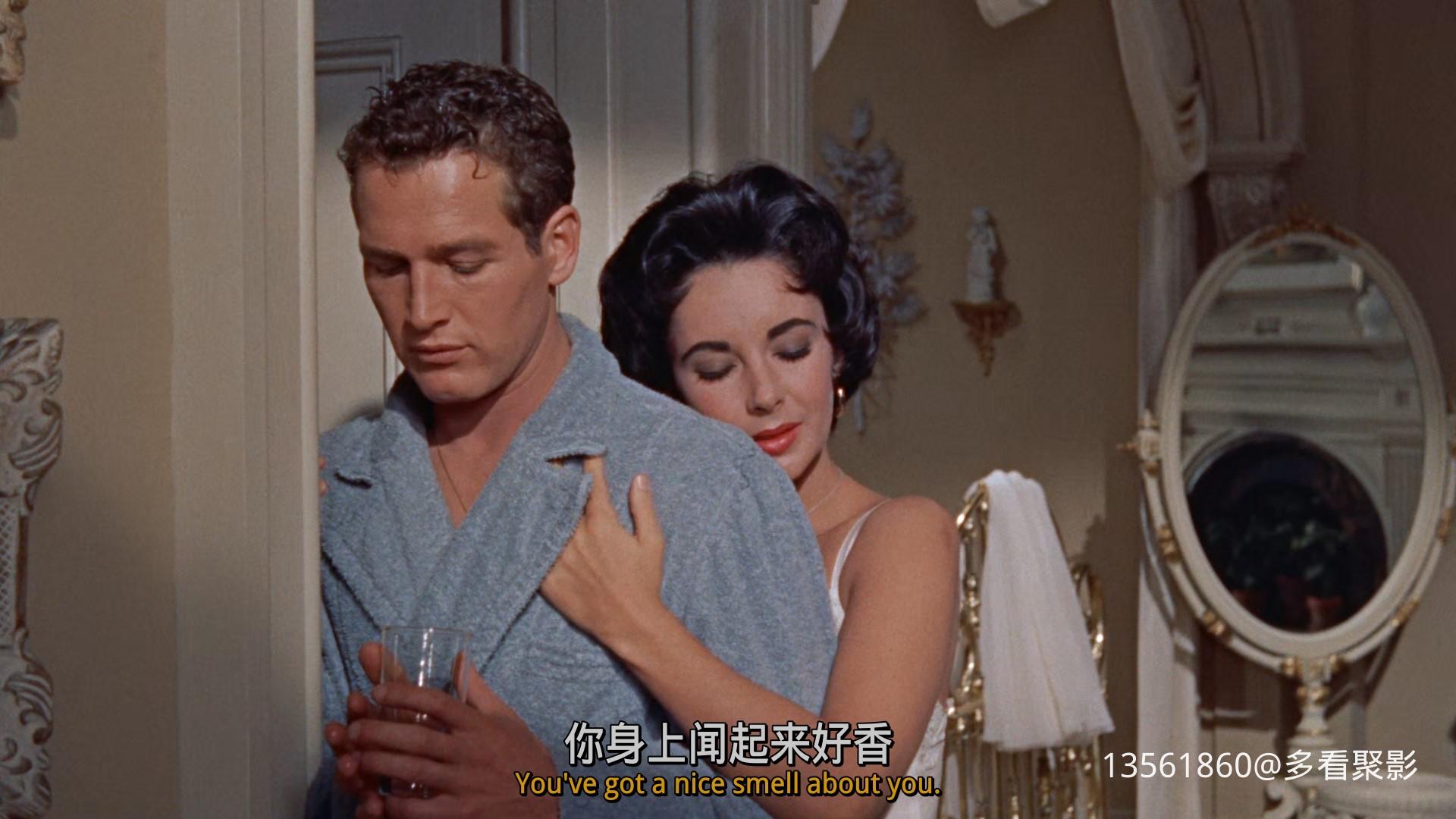 热铁皮屋顶上的猫Cat on a Hot-00_20_24-2025_12_26_09_46_58.jpg