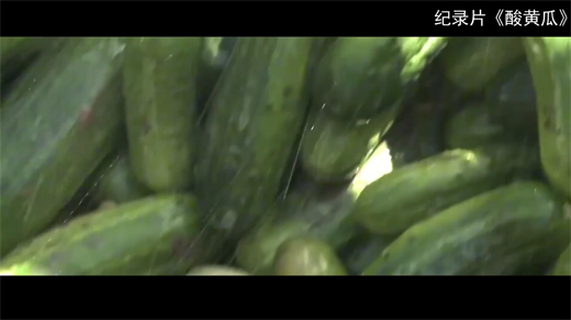 记录片酸黄瓜[00_06_36][20260109-144341].png