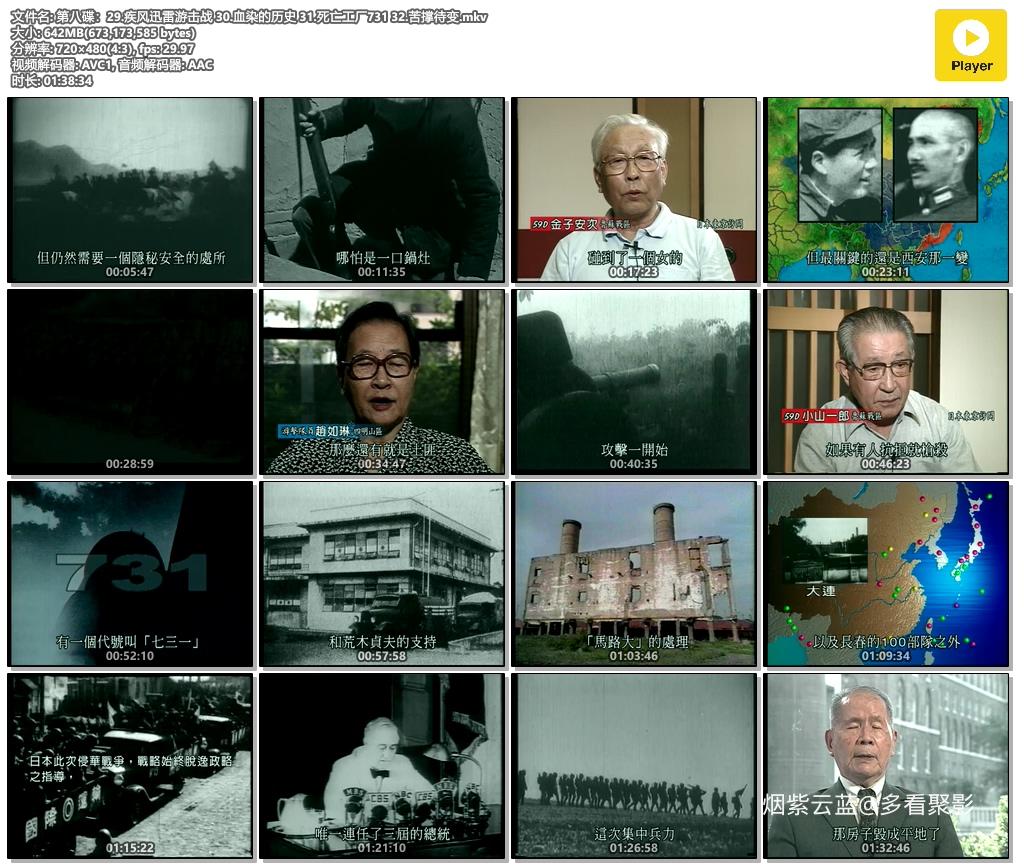 第八碟：29.疾风迅雷游击战 30.血染的历史 31.死亡工厂731 32.苦撑待变.mkv.jpg