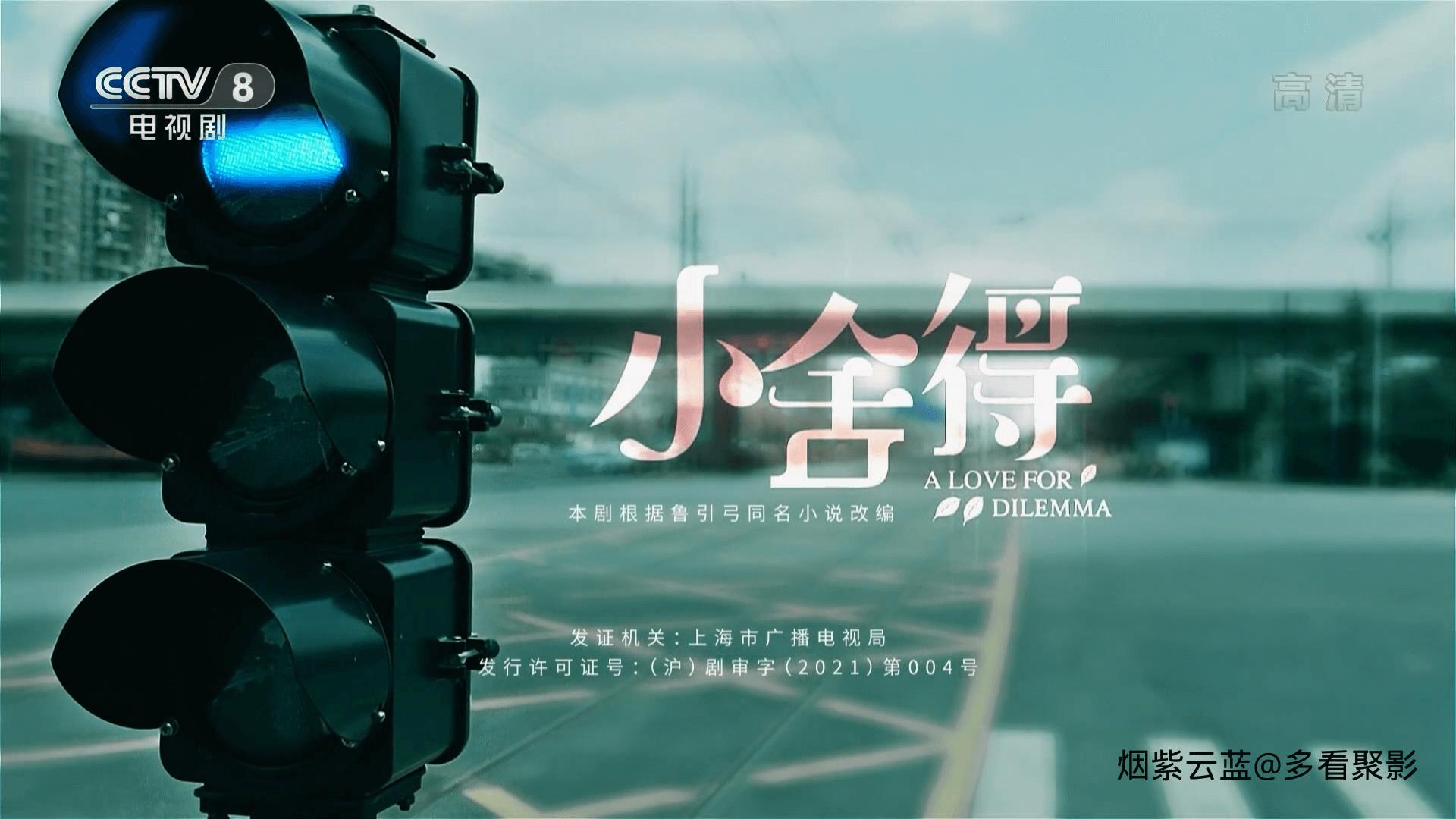 CCTV8.A.Little.Dilemma.E06.2021.HDTV.1080i.H264-HDCTV.ts_1768134091816.png