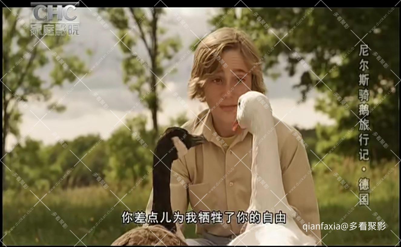 截图 - 副本 (2) - 副本.jpg