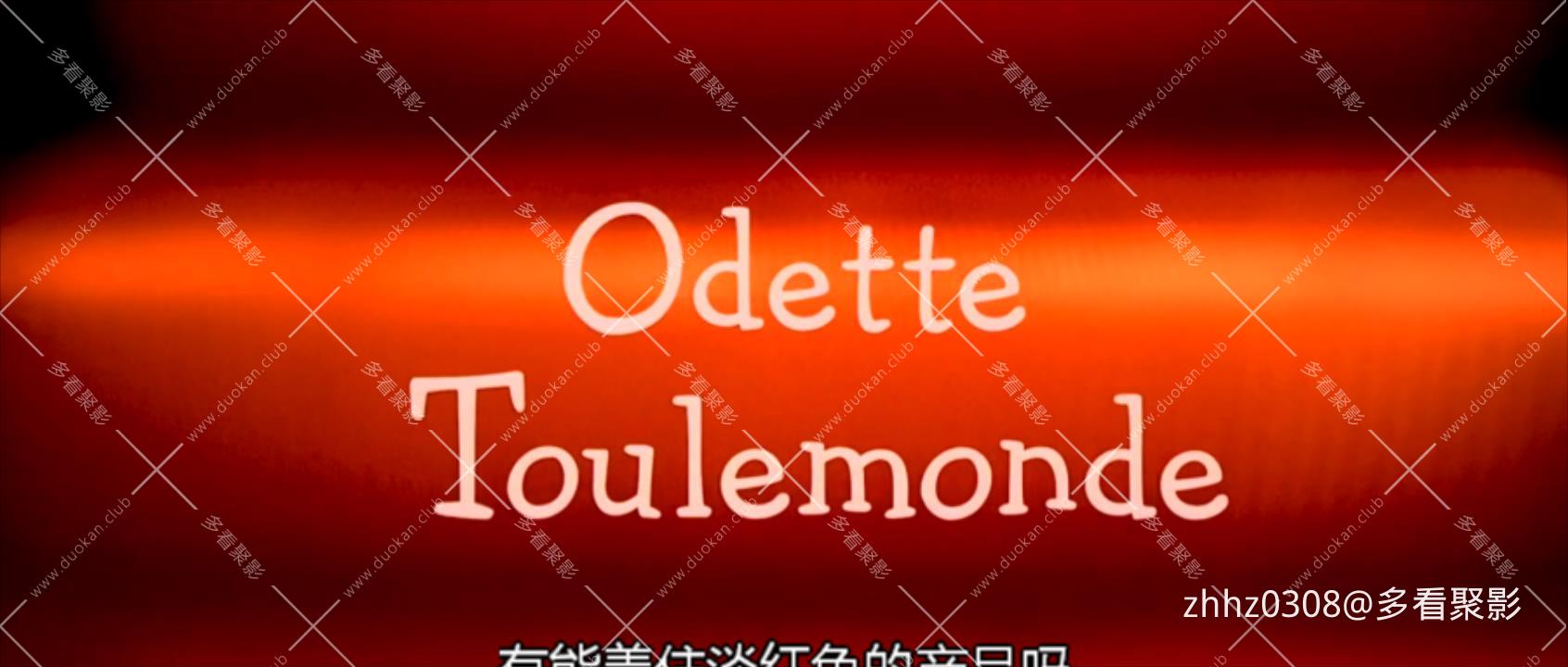 有关欧柏特.Odette.Toulemonde.2006.WEBRip.720p.x265.国法双语.mkv_20260128_165606221.jpg