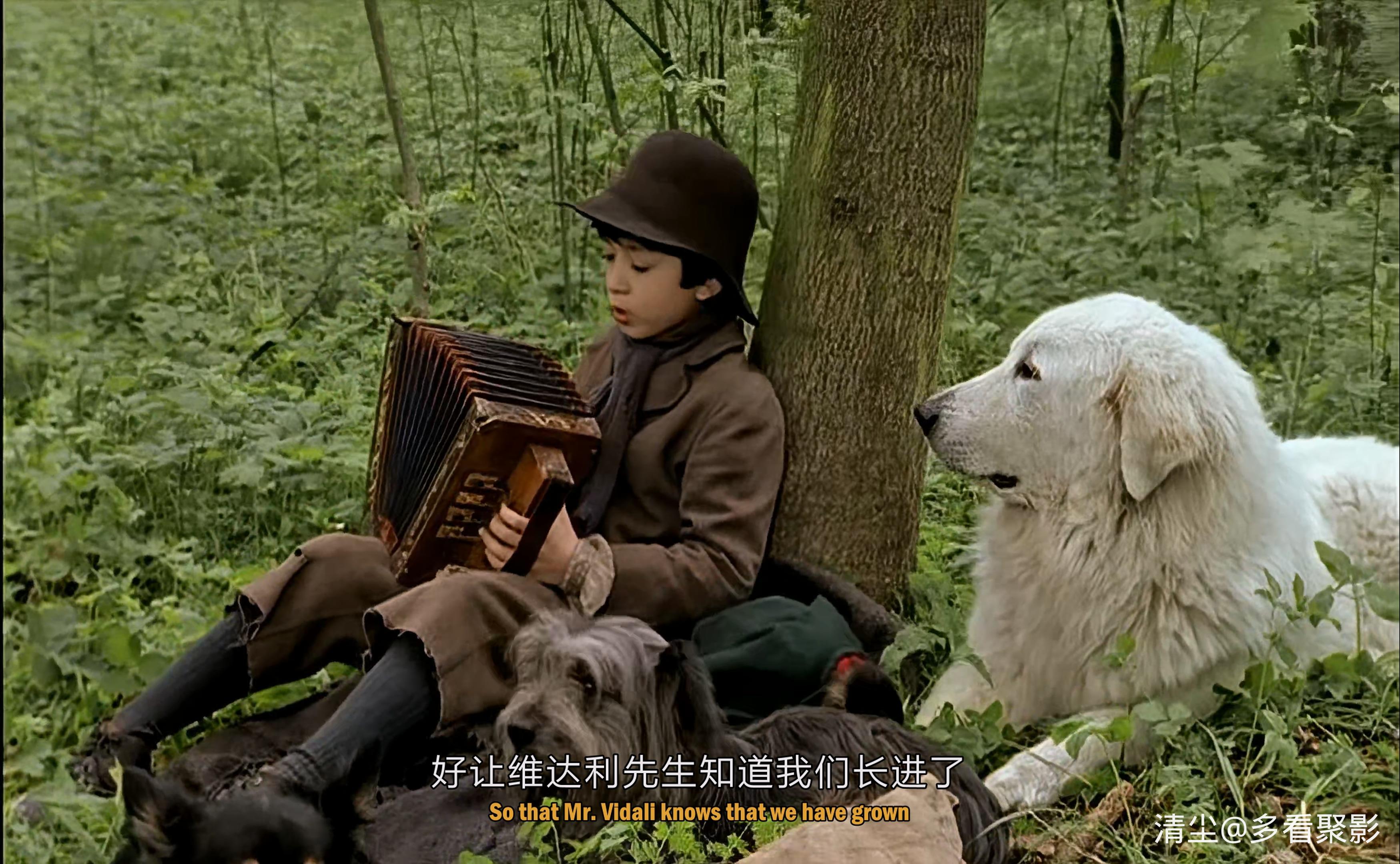 2000 苦儿流浪记 sans.famille.mkv_20260207_120445.336.jpg