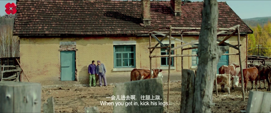 【多看】东北偏东[01_22_13][20260210-231651] 副本.png