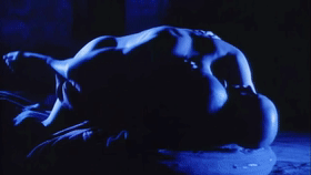 动态图片 (4).gif