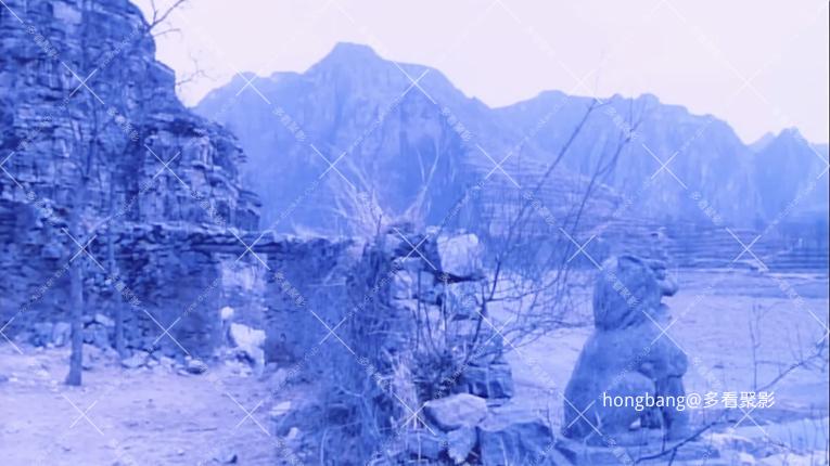 静态截图 (2).jpg