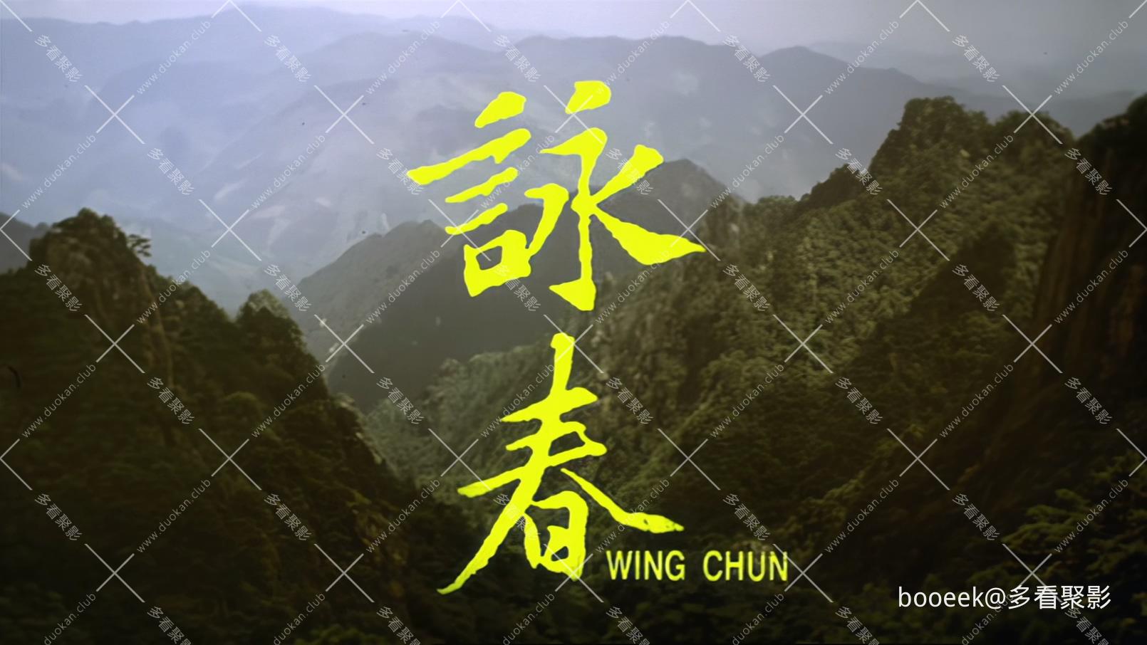 咏春Wing.Chun.1994.Bluray.1080p.DD5.1.x265.10bit-DreamHD.mkv_20260225_092903.259.jpg