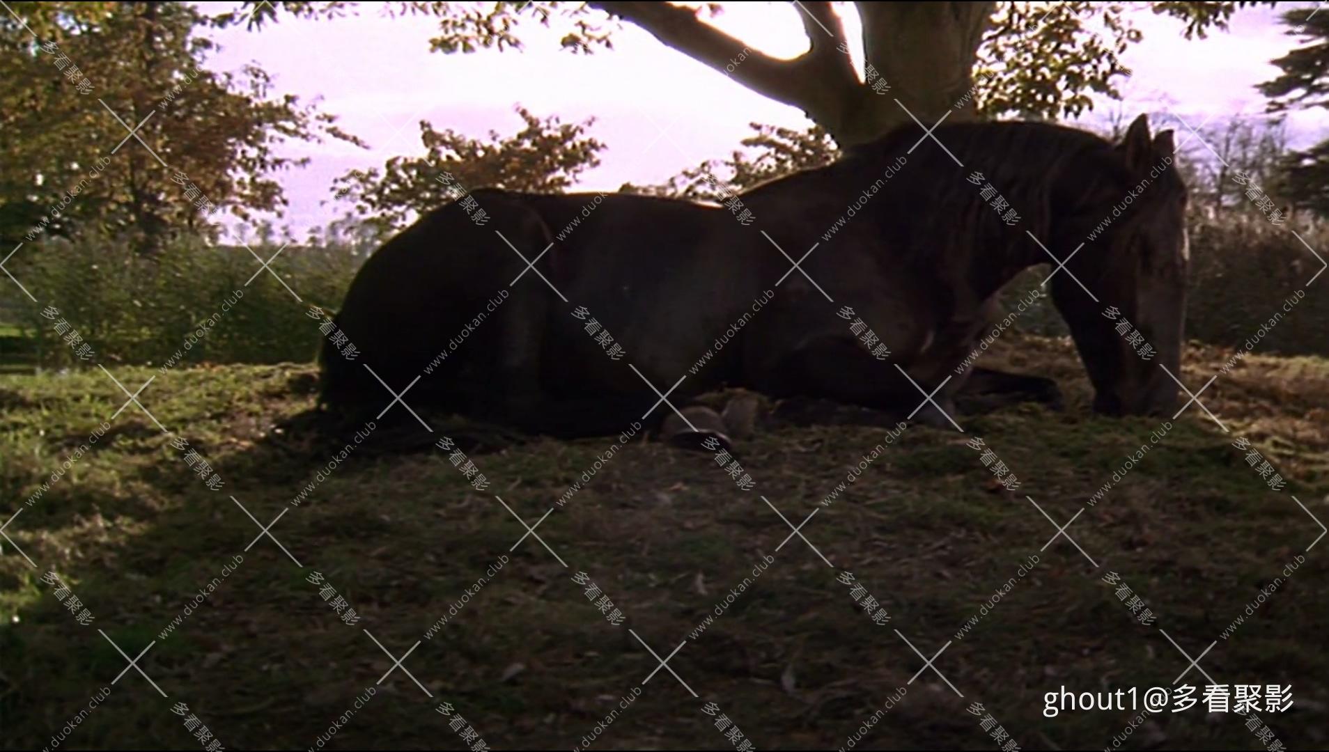 Black Beauty.mp4_000206.270.jpg