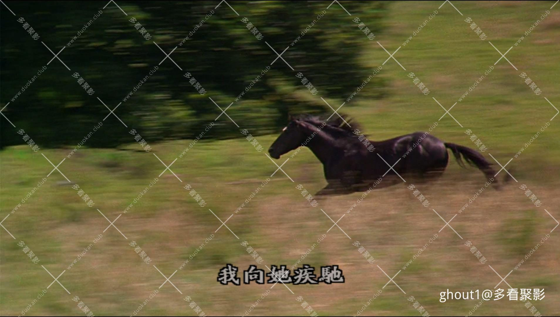 Black Beauty.mp4_001723.934.jpg